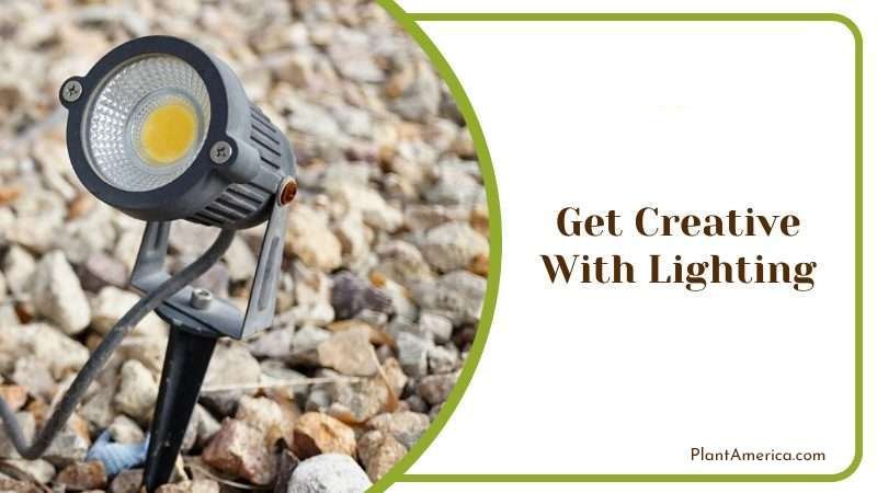 Get Creative With Lighting Plant America