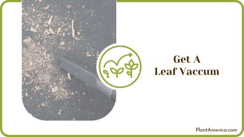 Get a Leaf Vaccum Plant America Get a Leaf Vaccum Plant America