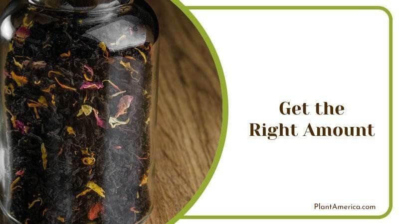 Get the Right Amount Plant America