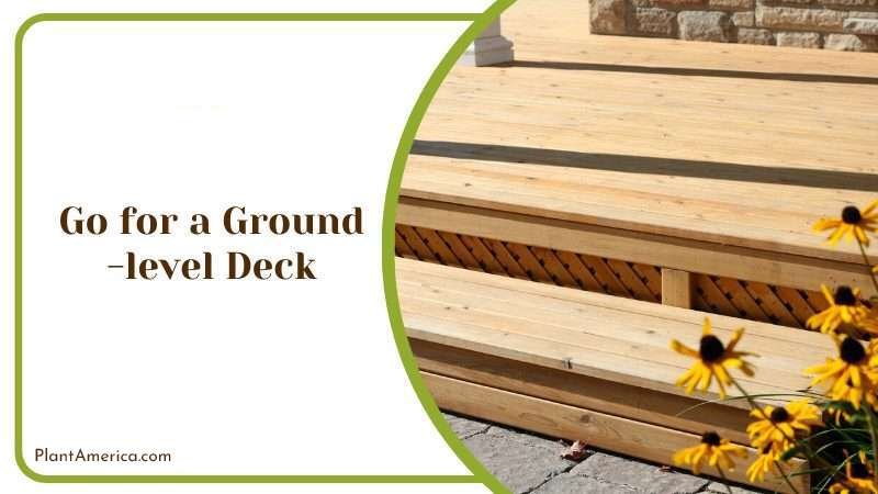 Go for a Groundlevel Deck Plant America