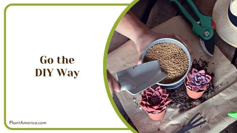 Go the DIY Way Plant America