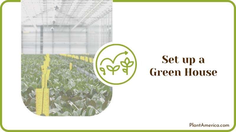 Green House of Potted Plants Plant America