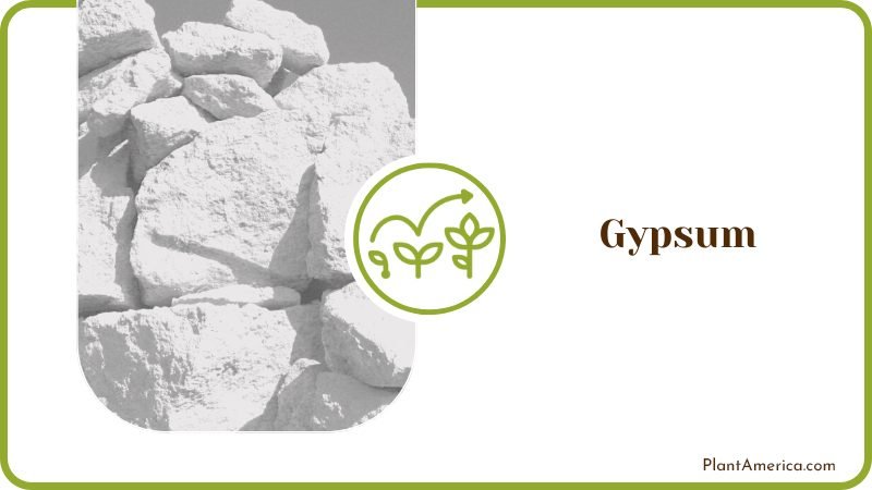 Gypsum Stones for Plants Gypsum Stones for Plants