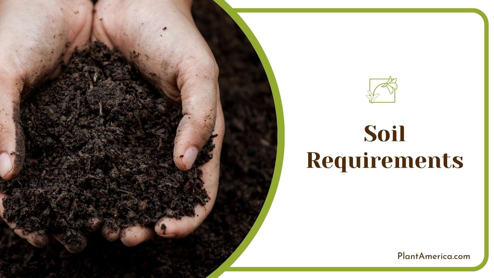 Hands Of A Human Full Of Soil ~ Plant America Hands Of A Human Full Of Soil ~ Plant America