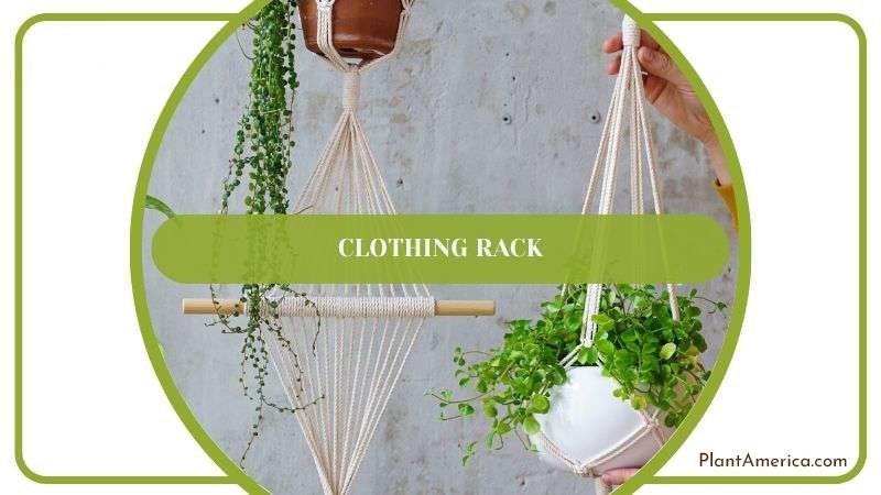 Hanging Plants Using Clothing Rack Plant America