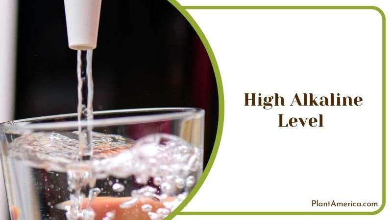 High Alkaline Level Plant America High Alkaline Level Plant America