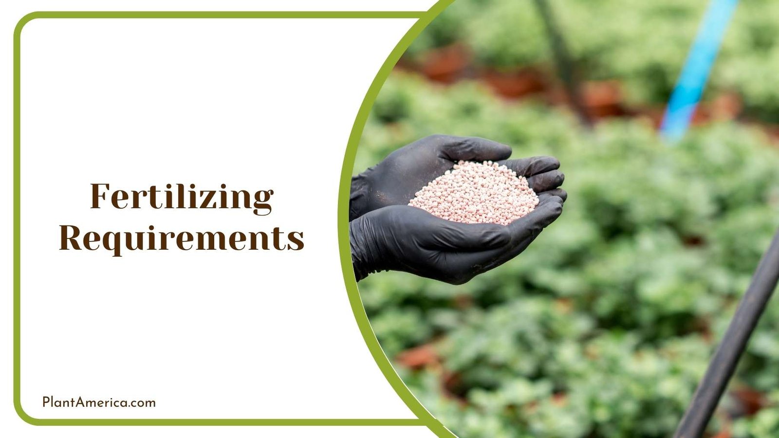 Holding Fertilizer With a Garden In Background Plant America