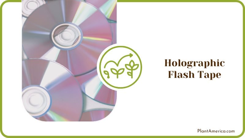 Holographic Flash Tape Plant America