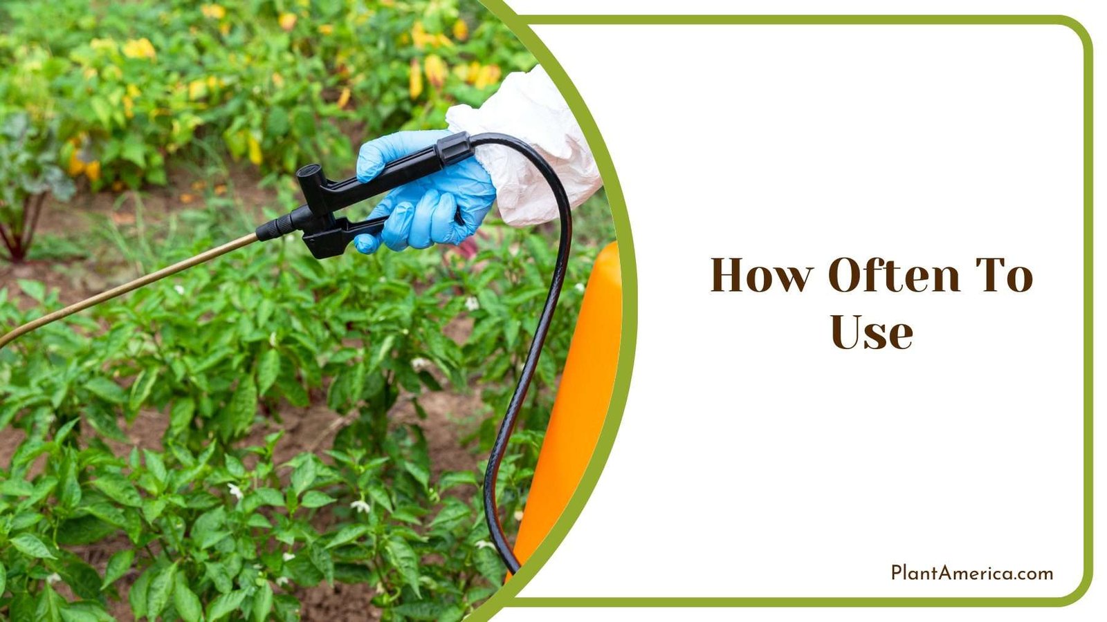 How Often To Use Plant America How Often To Use Plant America