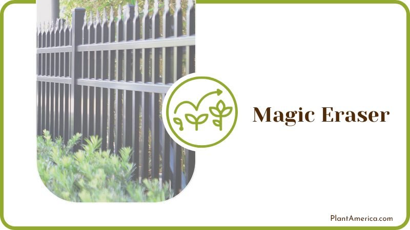 How To Clean With a Magic Eraser Plant America