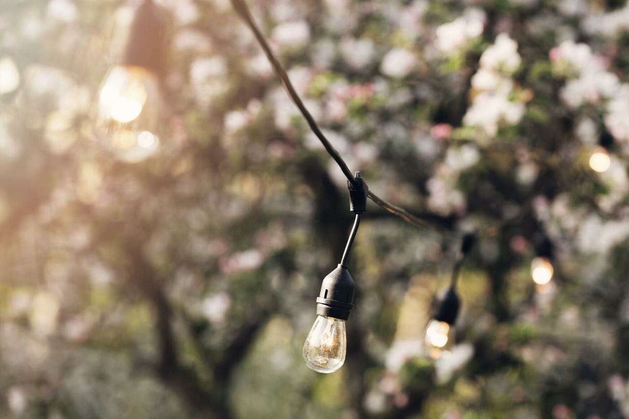 How To Hang String Lights in Backyard Without Trees Plant America How To Hang String Lights in Backyard Without Trees Plant America