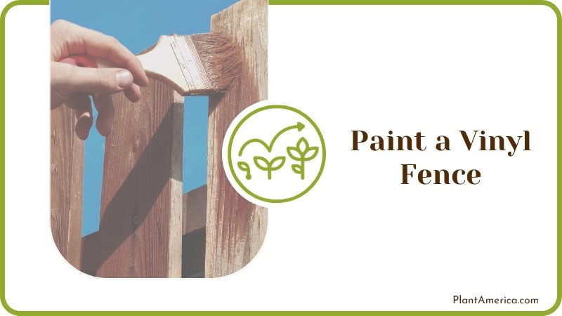How to Paint a Vinyl Fence Plant America