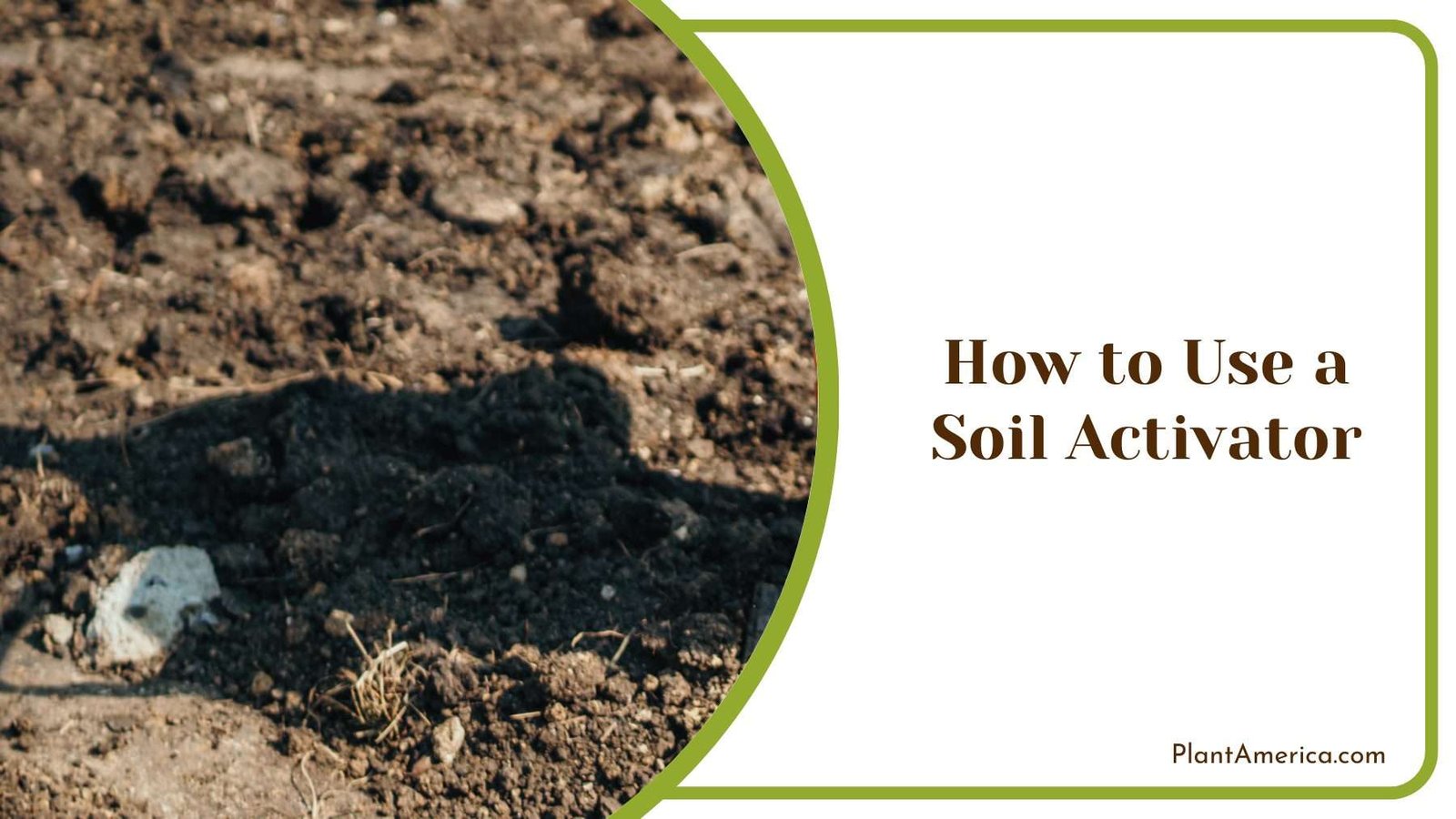 What Is Soil Activator? Benefits and Applications - Plant America