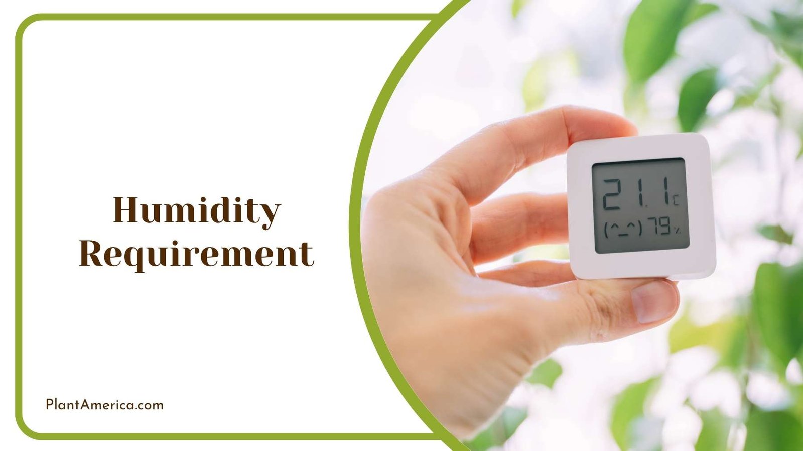 Humidity Digital Device Plant America 1