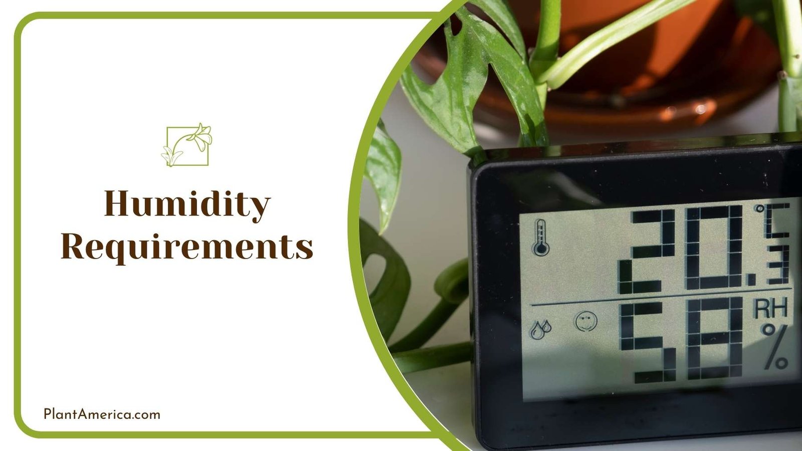 Hygrometer In A Room Beside a Plant ~ Plant America Hygrometer In A Room Beside a Plant ~ Plant America