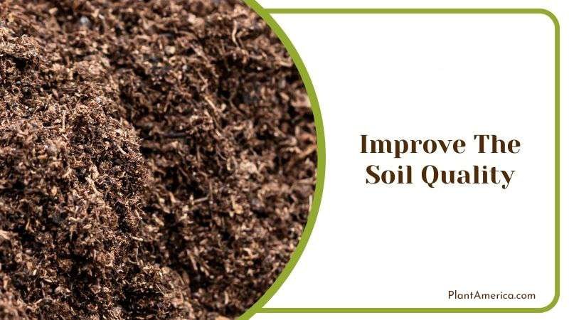 Improve the Soil Quality Plant America Improve the Soil Quality Plant America