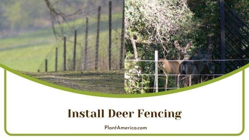Install Deer Fencing Plant America Install Deer Fencing Plant America