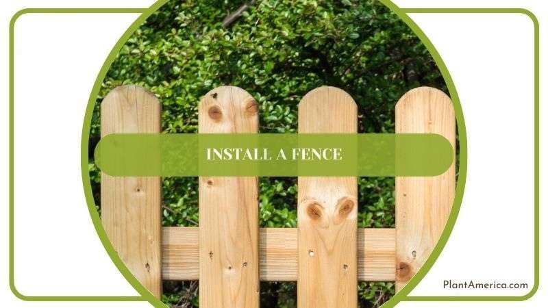 Install a Fence Plant America