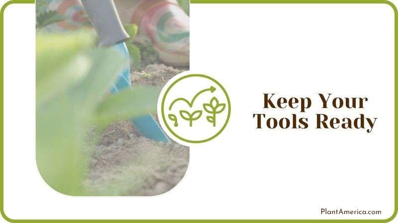 Keep Your Tools Ready PlantAmerica Keep Your Tools Ready PlantAmerica