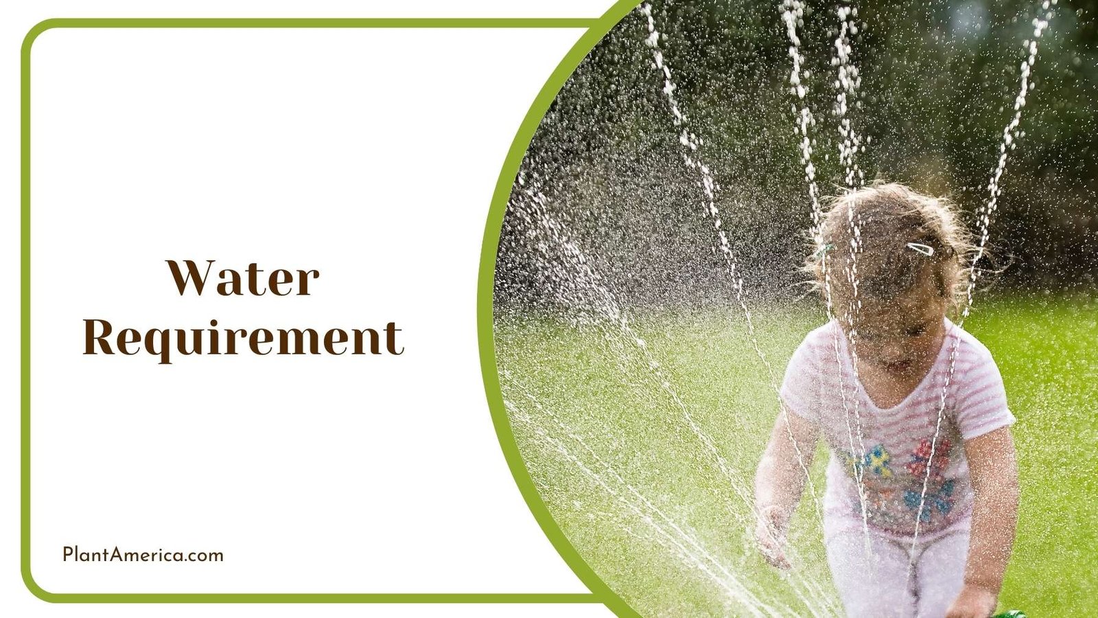 Kid Playing Water Fountain Plant America