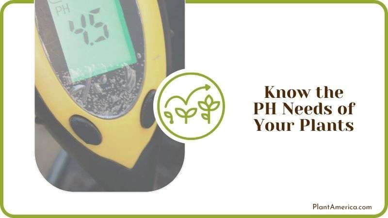 Know the PH Needs of Your Plants PlantAmerica