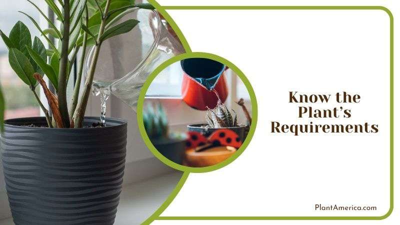 Know the Plants Requirements Plant America
