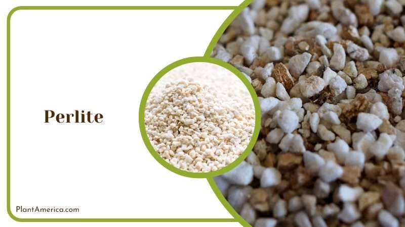 Lightweight Perlite for Aeration PlantAmerica