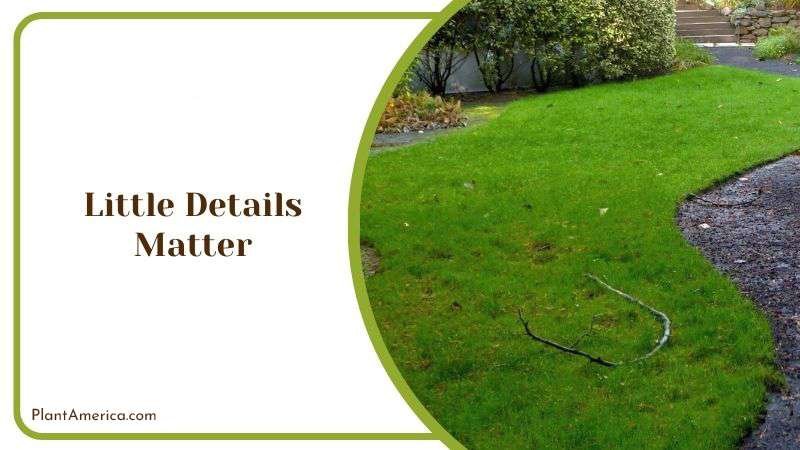 Little Details Matter PlantAmerica