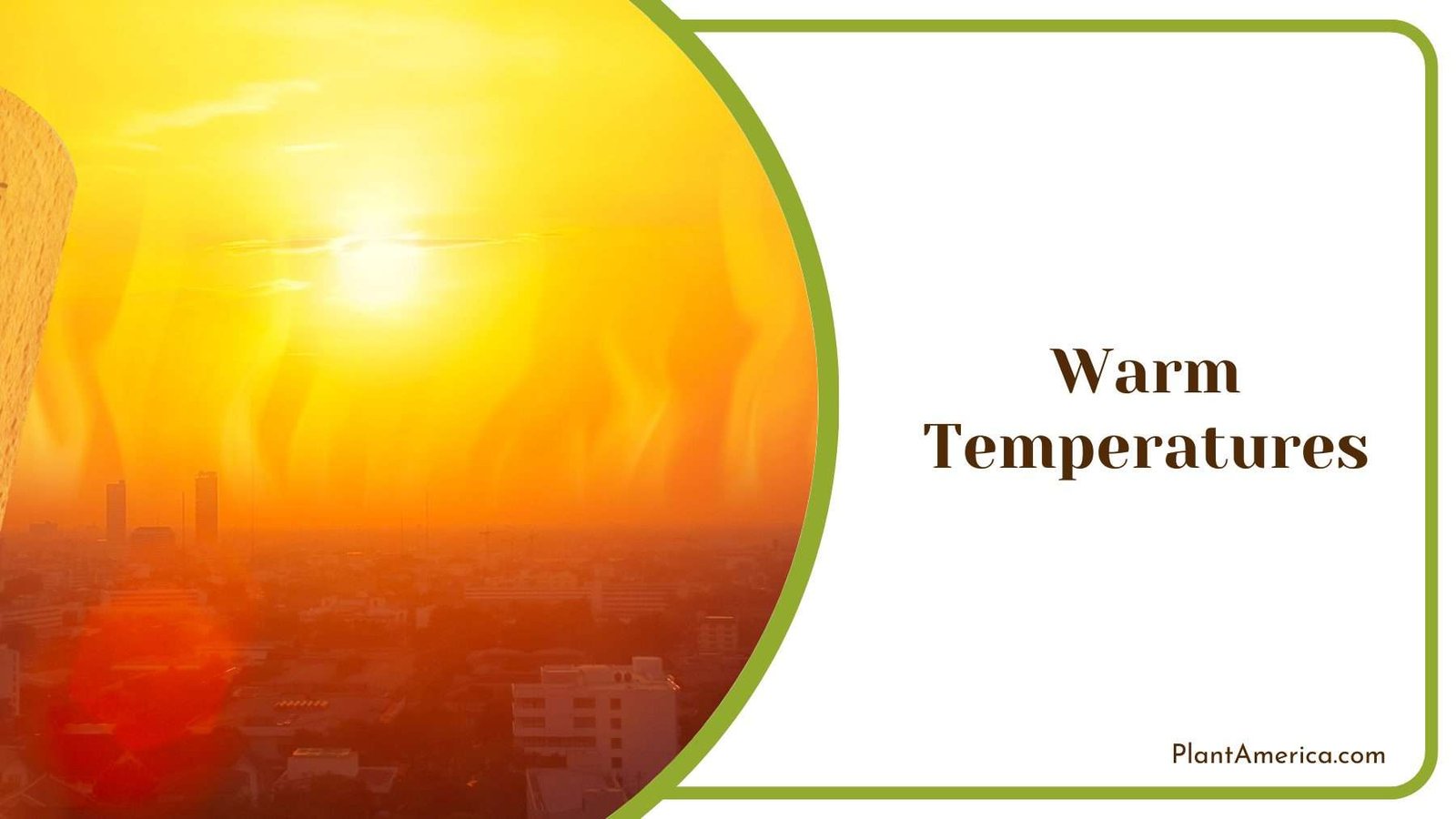 Maintain Warm Temperatures Plant America Maintain Warm Temperatures Plant America