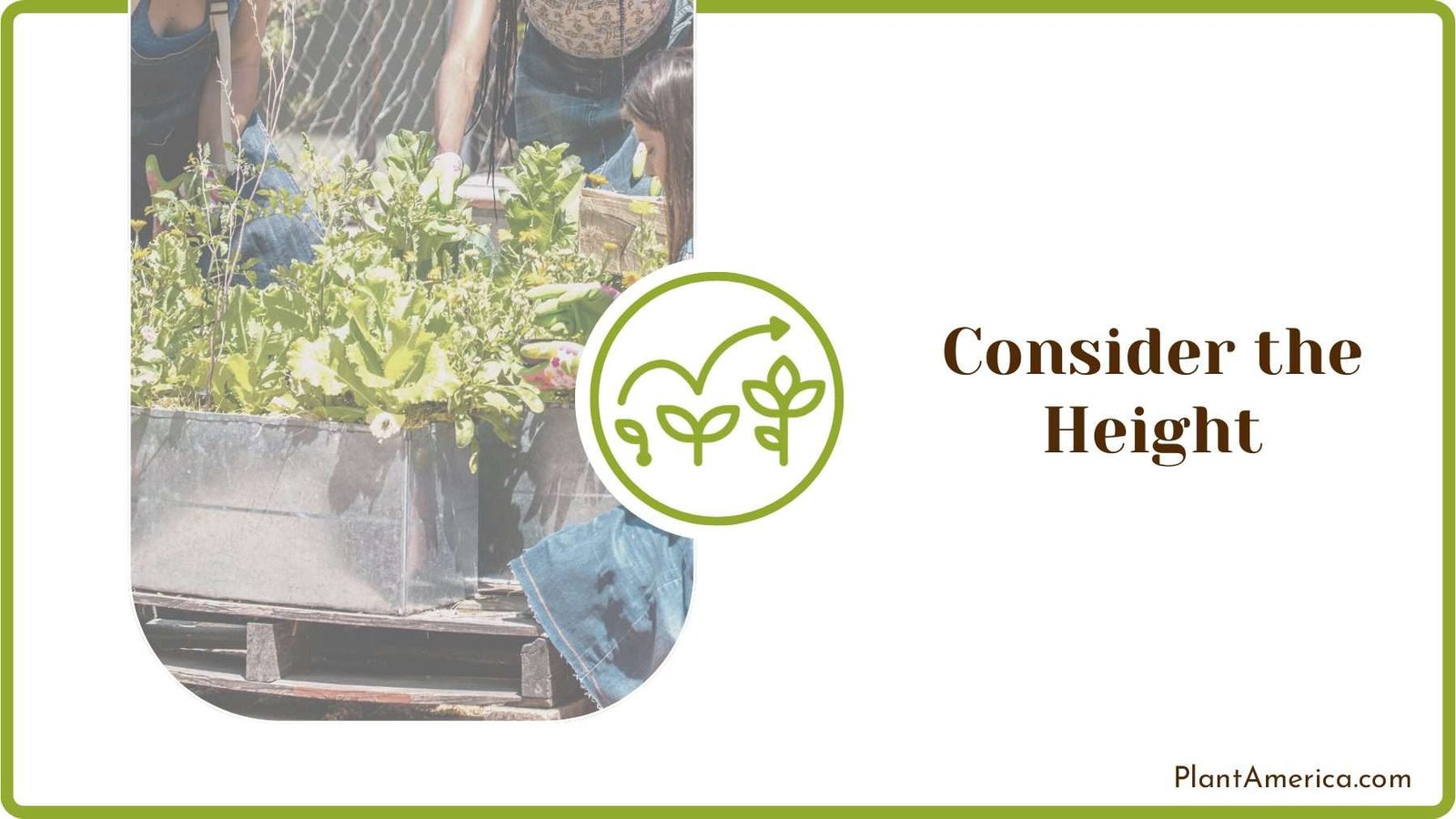 Maintaining Height for Plants Plant America