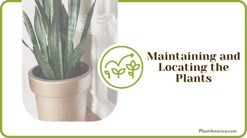 Maintaining and Locating the Plants PlantAmerica