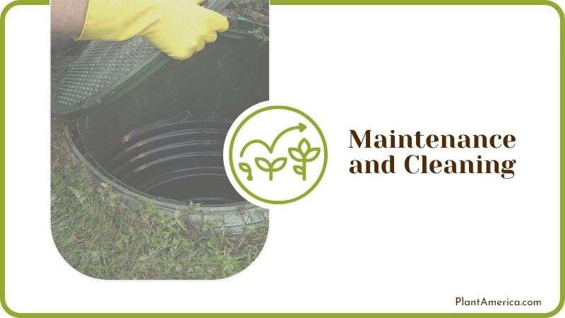 Maintenance and Cleaning Plant America Maintenance and Cleaning Plant America