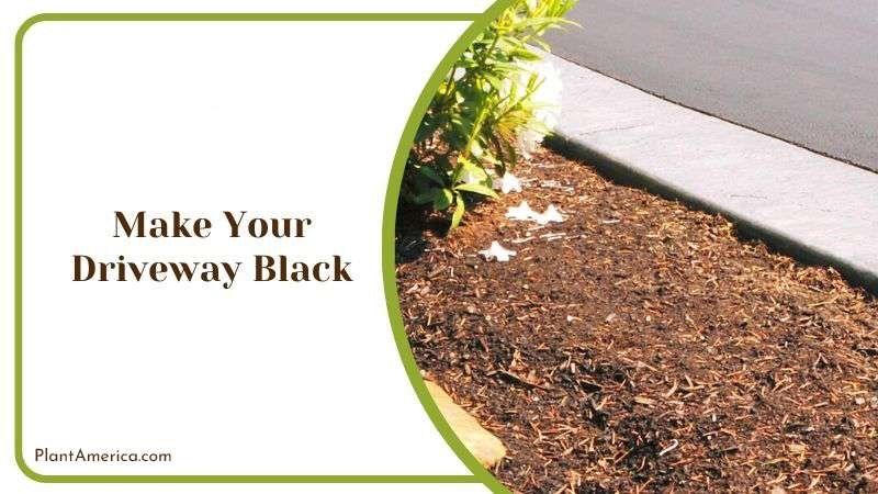 Make Your Driveway Black PlantAmerica