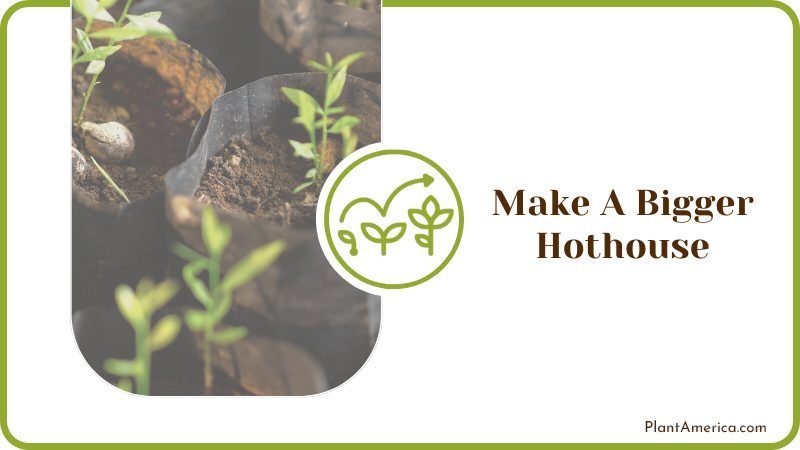 Make a Bigger Hothouse Plantamerica