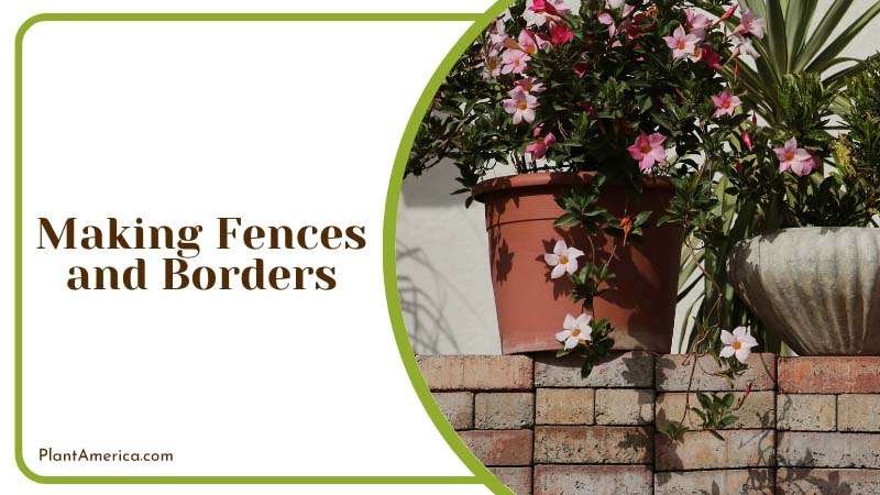 Making Fences and Borders Plant America