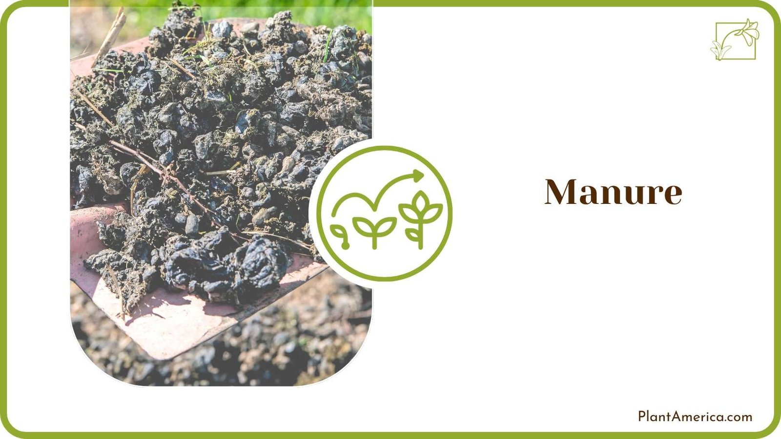 Manure for Soil PlantAmerica