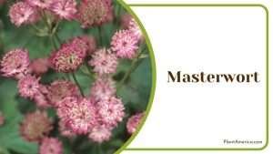 13 Slug Repellent Plants To Protect Your Garden Landscape - Plant America