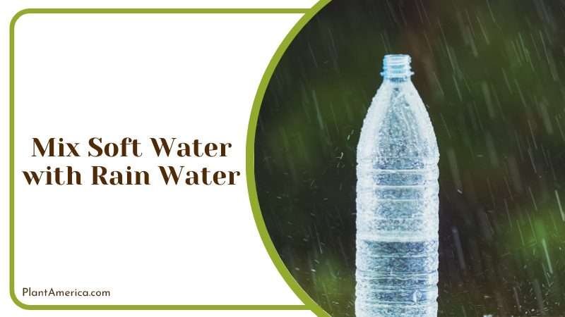 Mix Soft Water with Rain Water Plant America Mix Soft Water with Rain Water Plant America