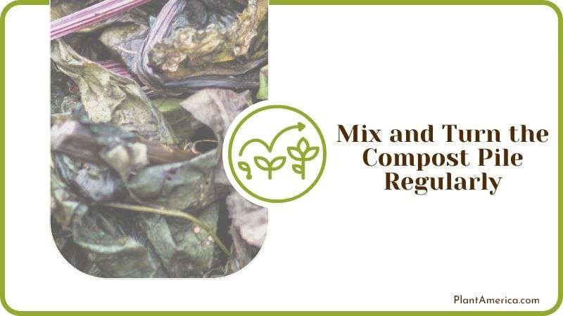Mix and Turn the Compost Pile Regularly PlantAmerica