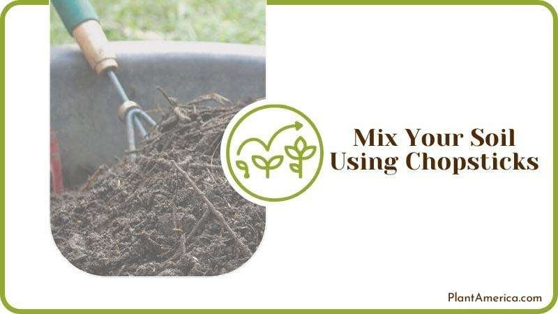 Mixing Soil Using Chopsticks Plant America Mixing Soil Using Chopsticks Plant America