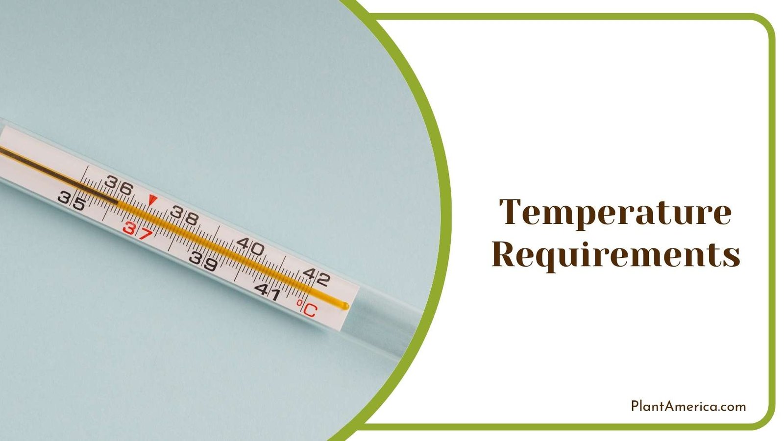 Modern Thermometer a Gray Background Plant America