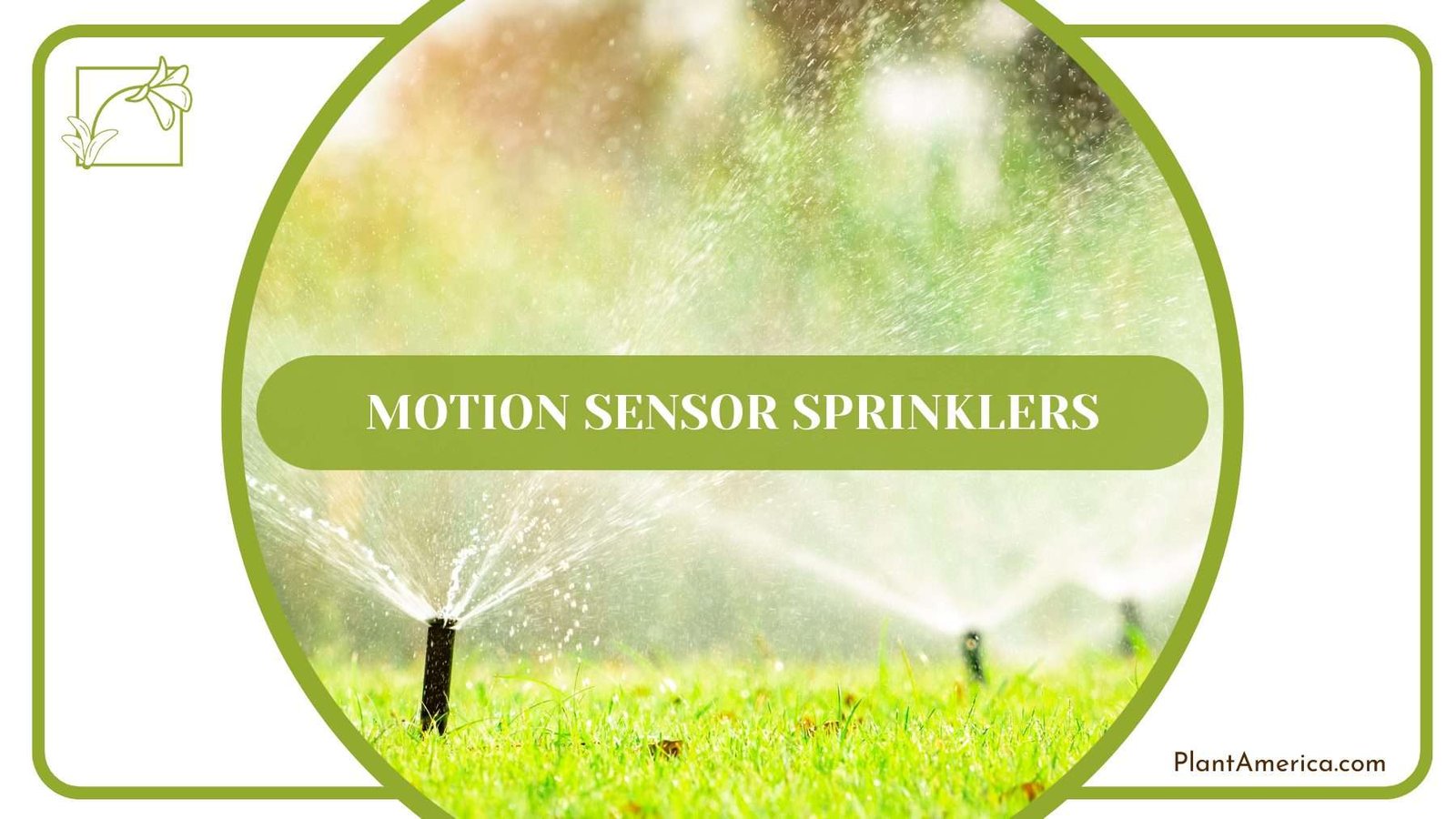 Motion Sensor Sprinklers Plant America