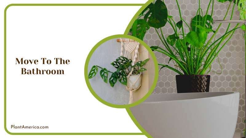 Copy of Focus on details B Move To The Bathroom