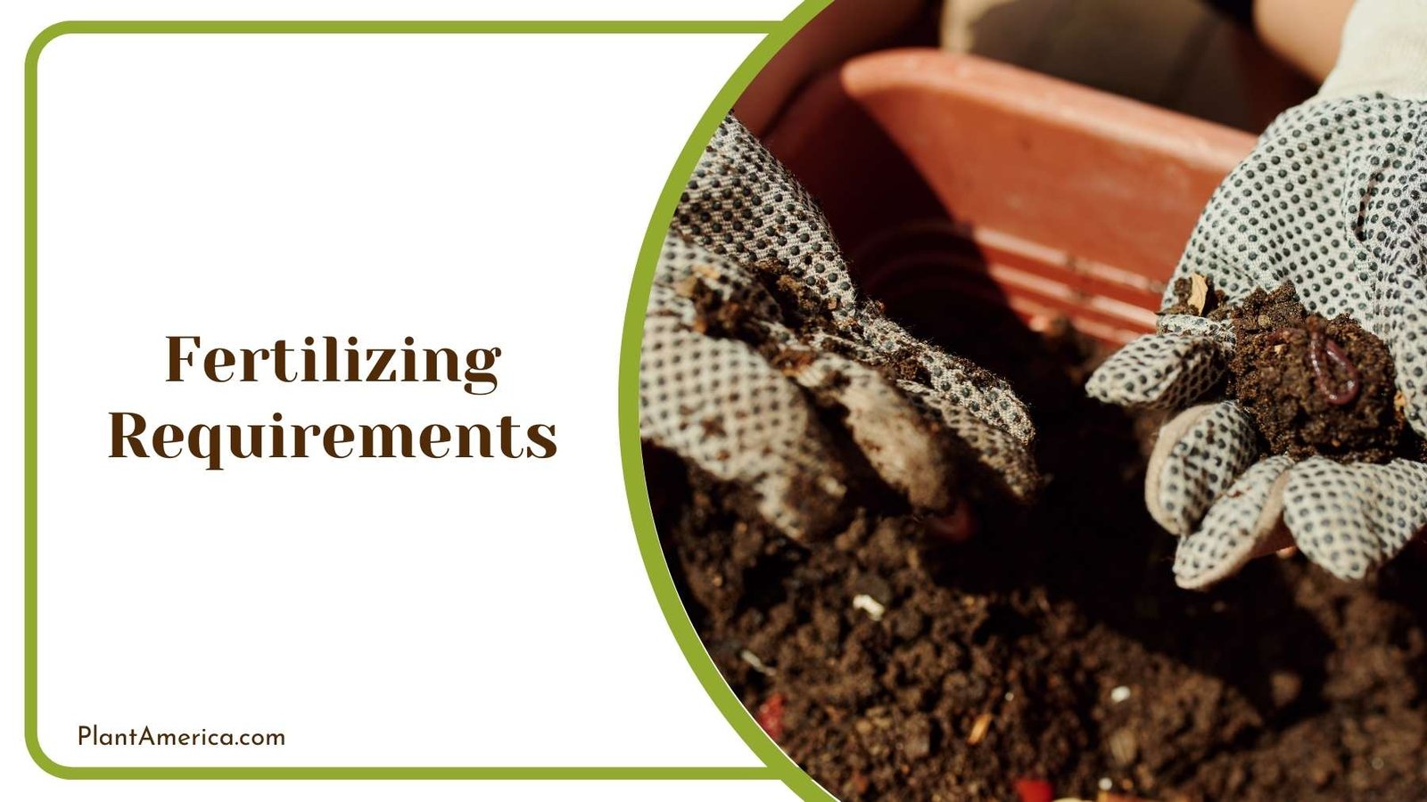 Natural Fertilizer Plant America