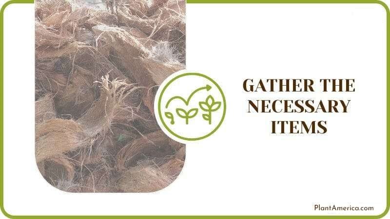 Necessary Items for Moss Pole Plantamerica Necessary Items for Moss Pole Plantamerica