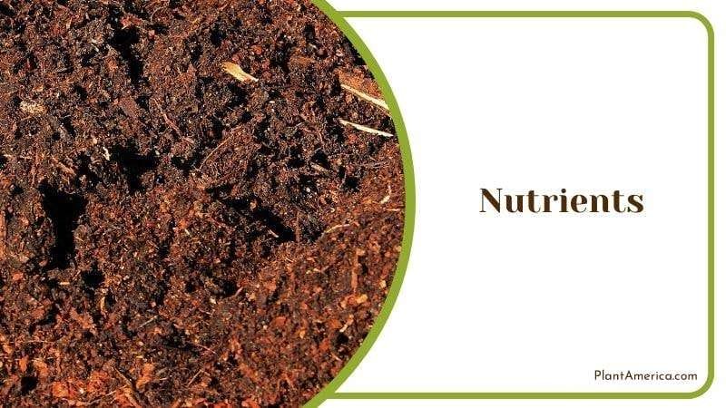 Nutrients of Mushroom Compost Plant America