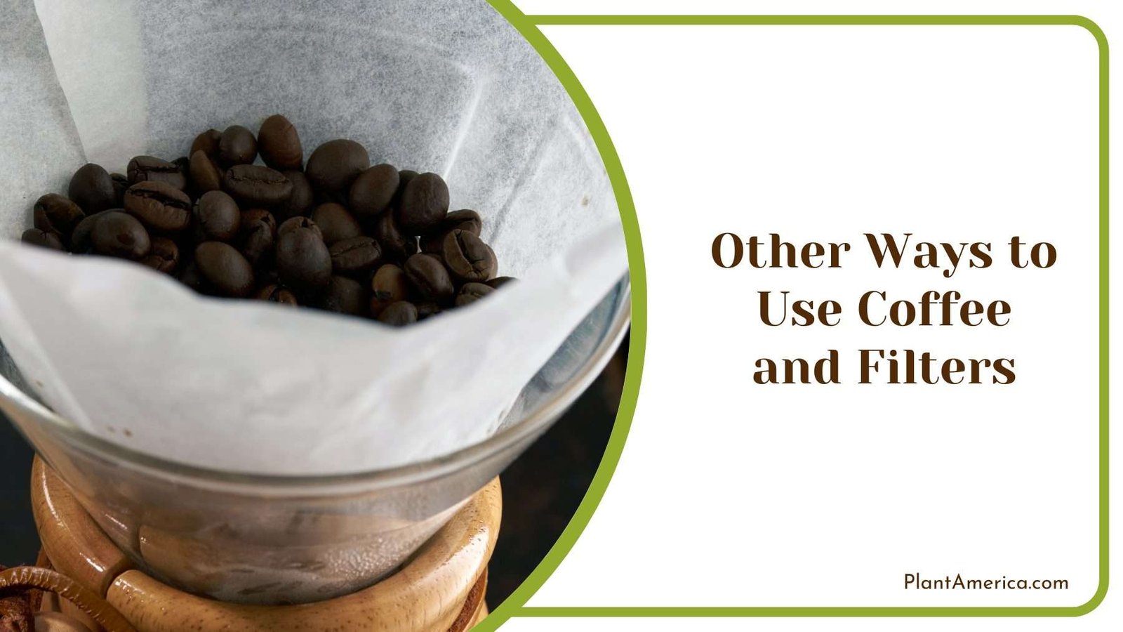 Other Ways to Use Coffee and Filters Plant America