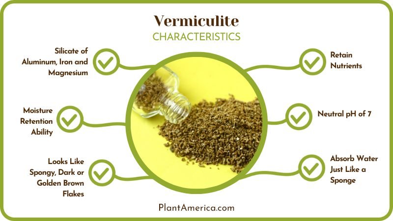 Perlite vs Vermiculite Characteristics Plant America