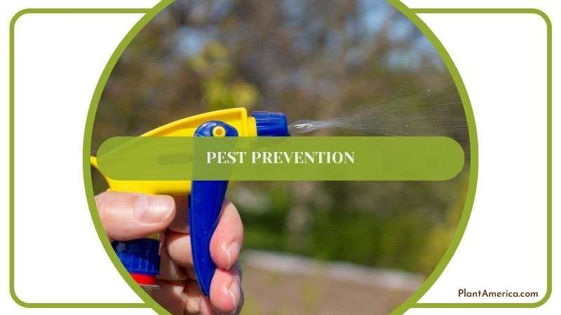 Pest Prevention PlantAmerica