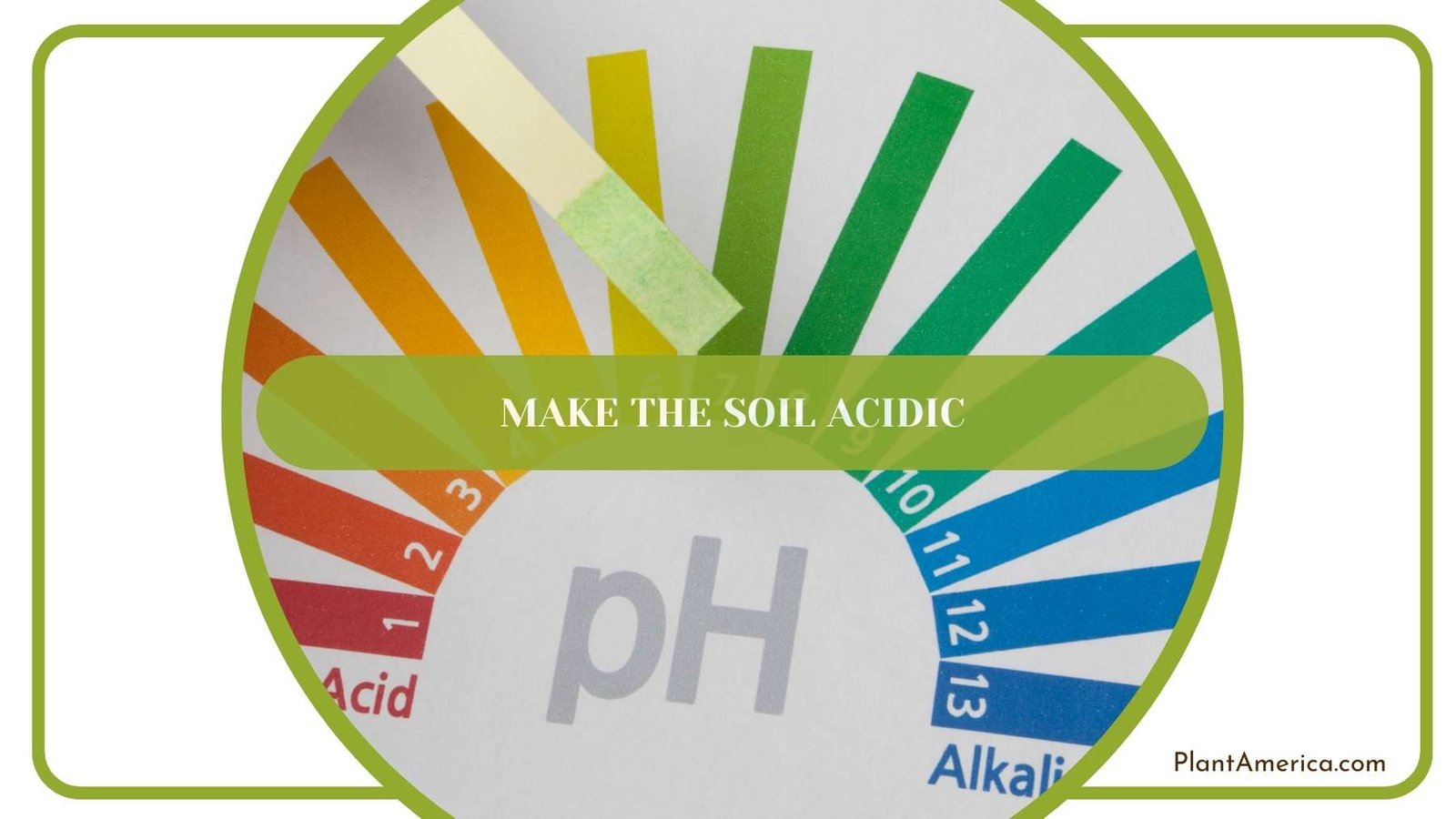 Ph Measuring Paper Plant America